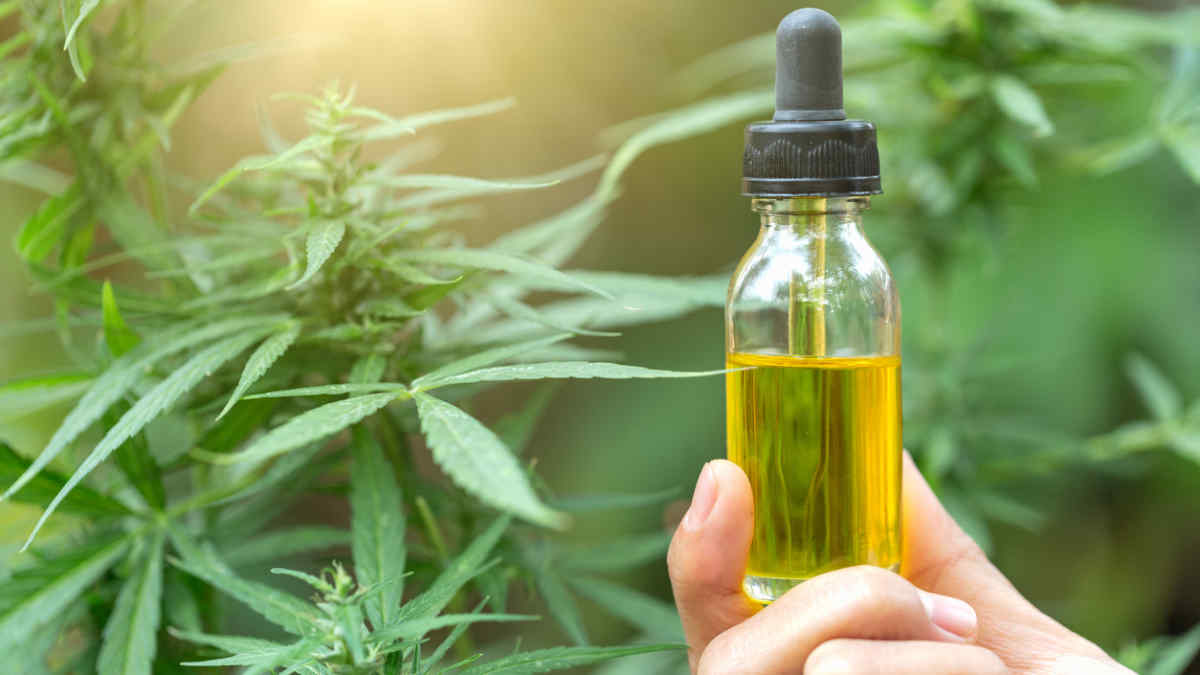 Important FAQs About A Drug Test