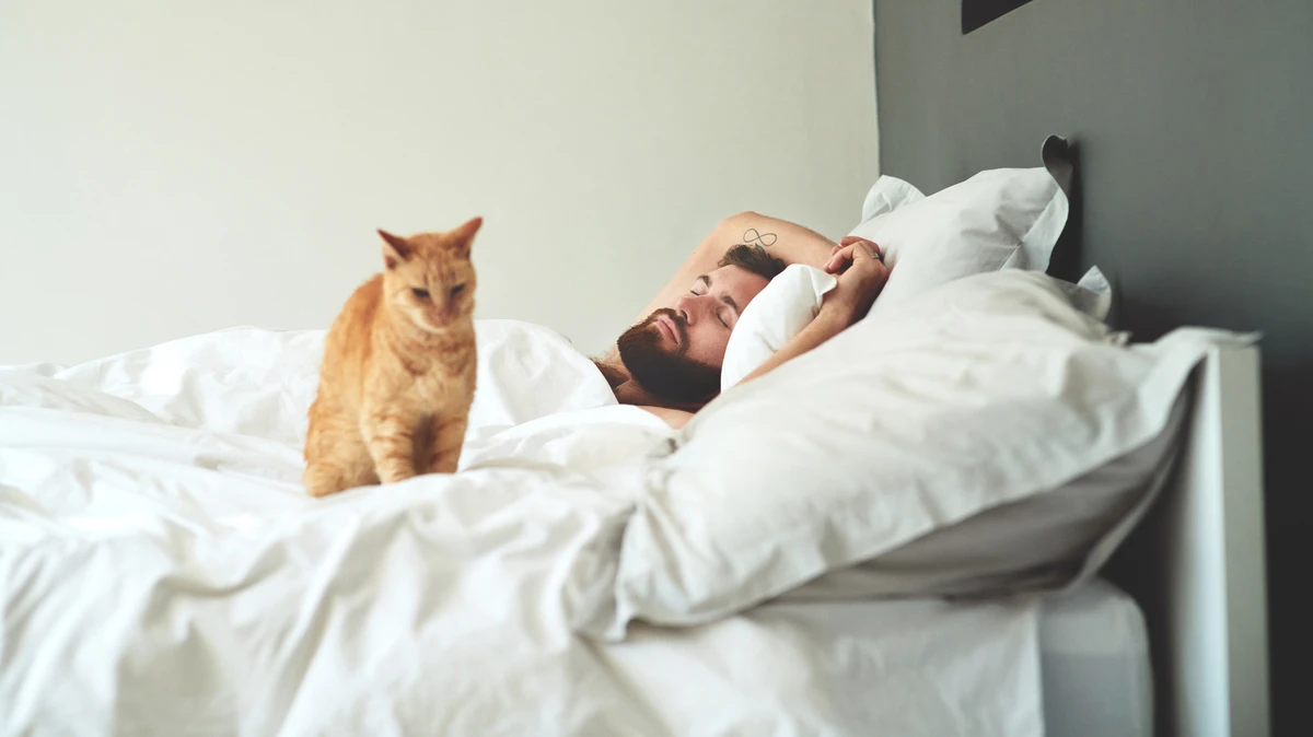 best mattress for back pain