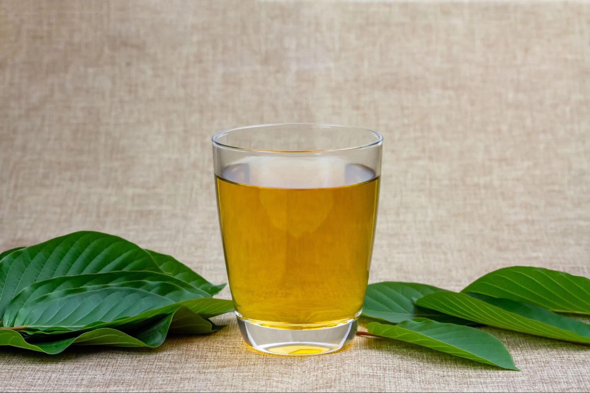 kratom strains