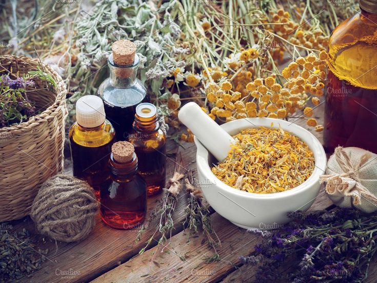 Opening the Power of Nature: Traveling with The Lost Book of Herbal Remedies