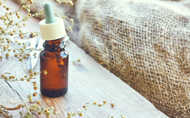 The Lost Book of Herbal Remedies