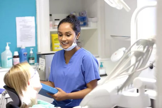 How Your Dental Roots and Surrounding Bone Adapt Throughout Your Lifetime